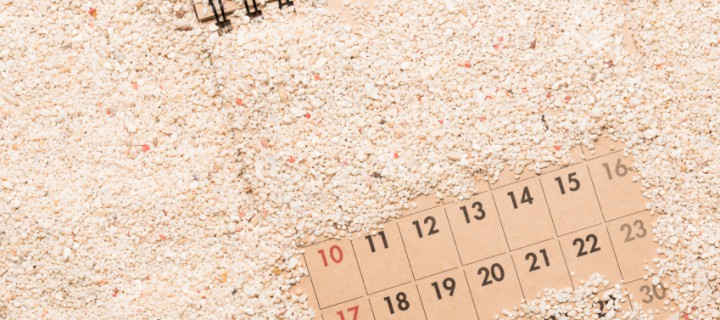 Preparando las vacaciones de verano (II): ¿Viajar en agosto es la mejor idea?     