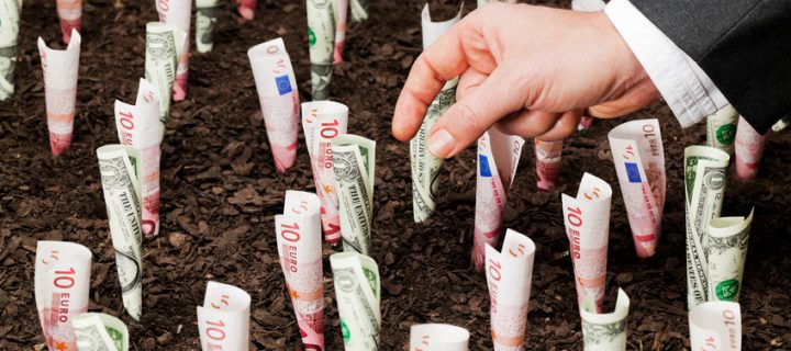 ¿Dónde invierto mi dinero? Los fondos de inversión más exóticos y raros