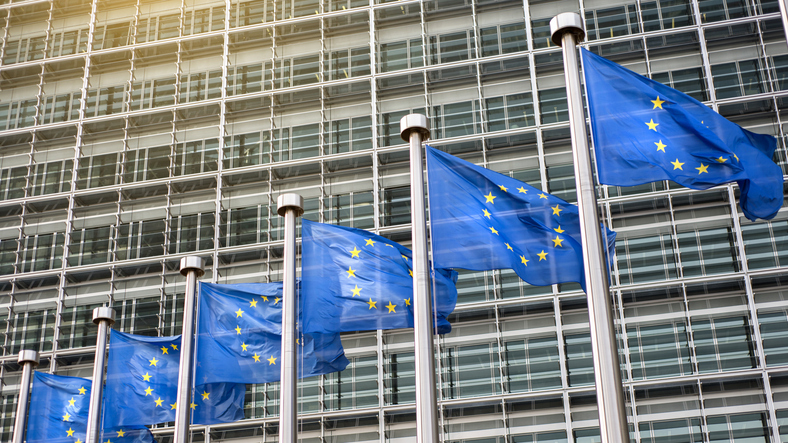 ¿Son infundadas las críticas a la Unión Bancaria Europea?