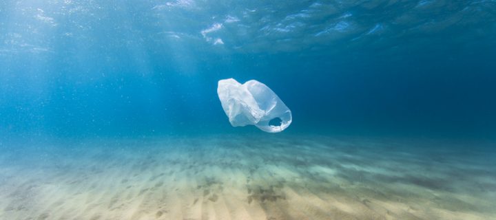 ¿Ha llegado el momento de evitar el plástico? ¿Es la hora de invertir en bioplásticos?