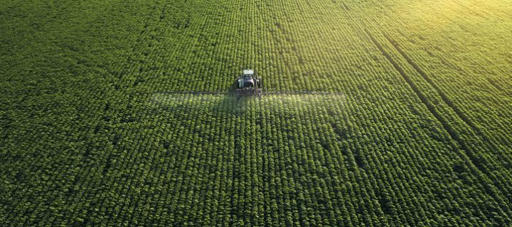 Factores que afectan al valor de los cultivos más importantes del mundo