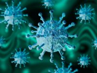 Coronavirus de Wuhan: ¿cómo se transmite una pandemia a la economía global?