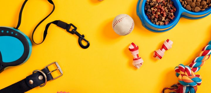 Las mascotas: una tendencia de consumo creciente