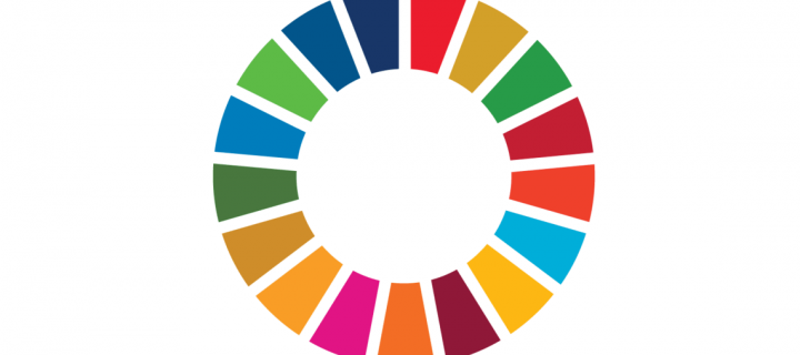 Entorno global: ¿Qué es la Agenda 2030? ¿Cuáles son los 17 Objetivos de Desarrollo Sostenible?