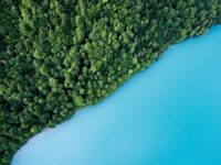 Cómo invertir en mejorar el medioambiente: impacto y rentabilidad