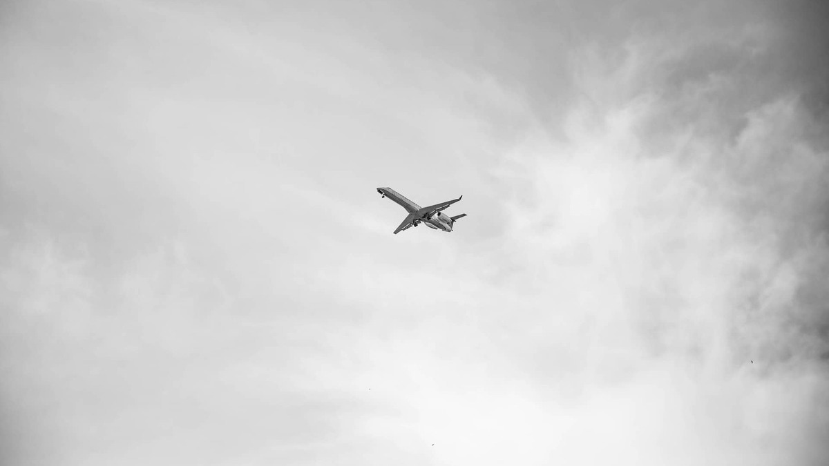 Tráfico aéreo: aerolíneas, sector aeronáutico y su recuperación