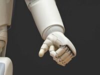 Inteligencia artificial y su papel en la bolsa