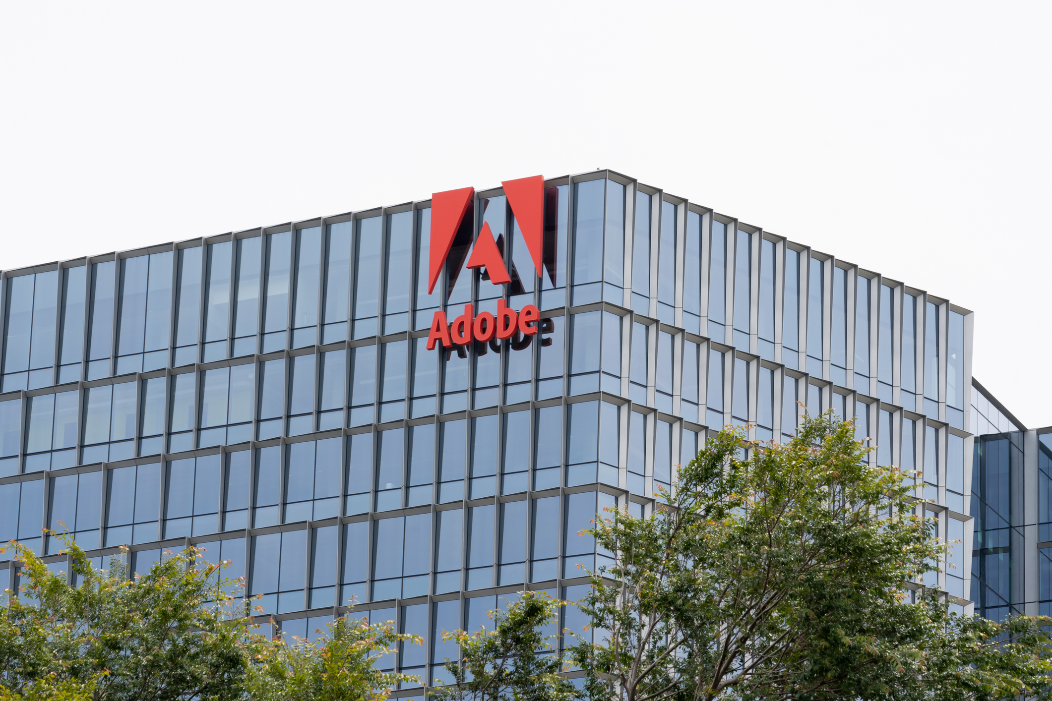 ADOBE: Sus últimos resultados fueron positivos, pero decepcionó en las previsiones